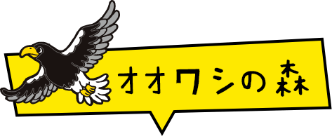 オオワシの森